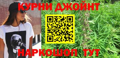гидра Краснокаменск