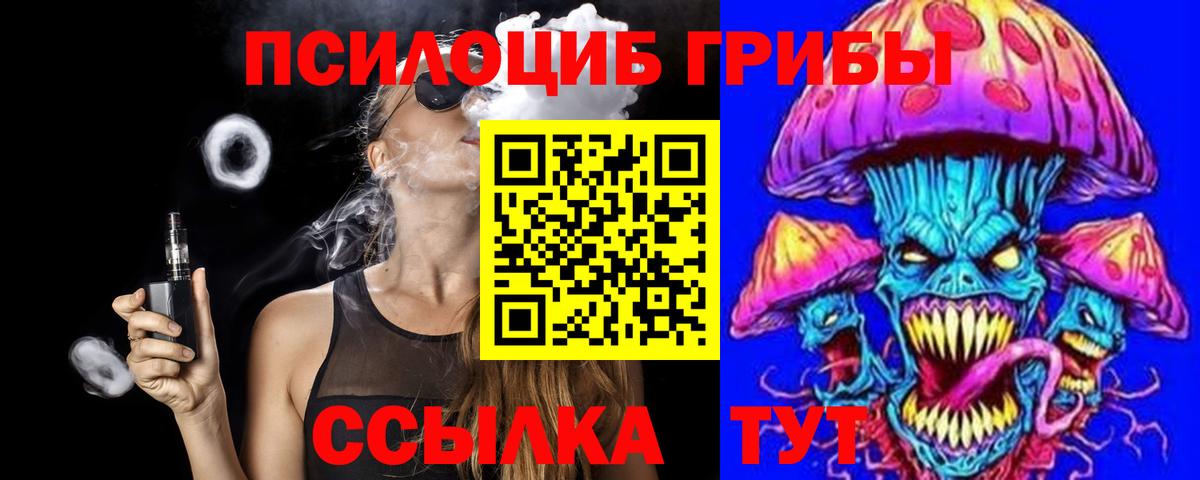 Камышлов  Галлюциногенные грибы Magic Shrooms  Псилоцибиновые грибы Psilocybe  что такое наркотик  Вход с VPN 